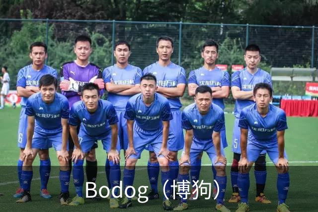 关于Bodog（博狗）